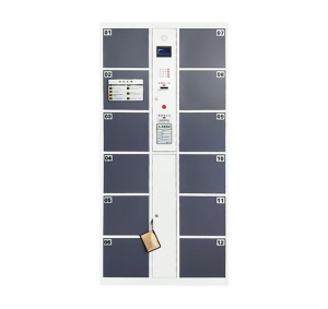 Electronic Storage Cabinet 3