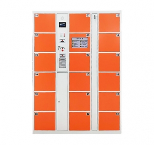 Electronic Storage Cabinet 4