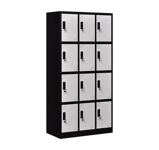 12 Door Gym Lockers