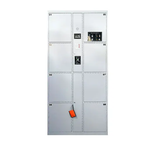 Electronic Storage Cabinet
