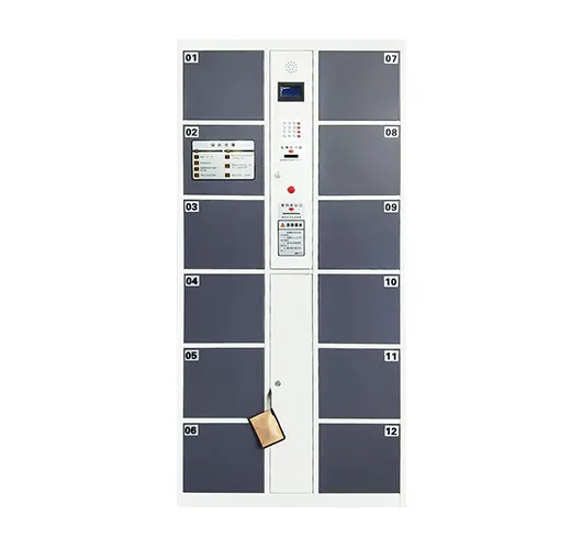 Electronic Storage Cabinet 3