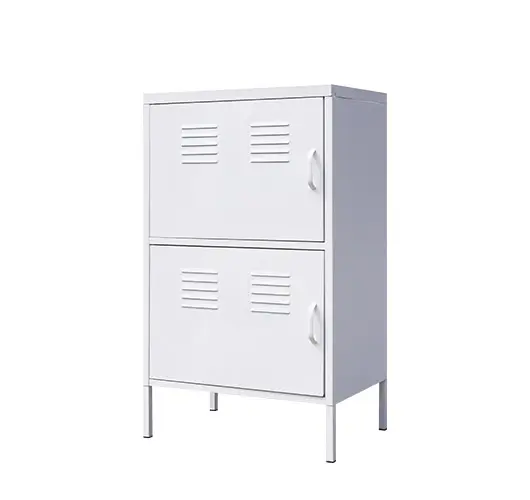 Home Use Two-door Cabinet