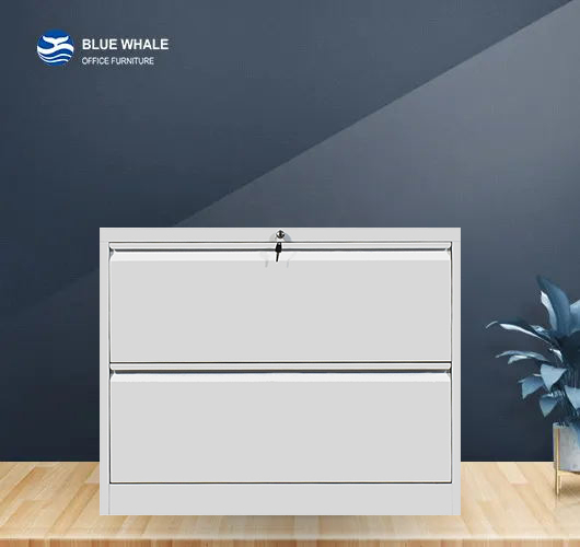 2 Drawer Lateral File Cabinet Blue Whale