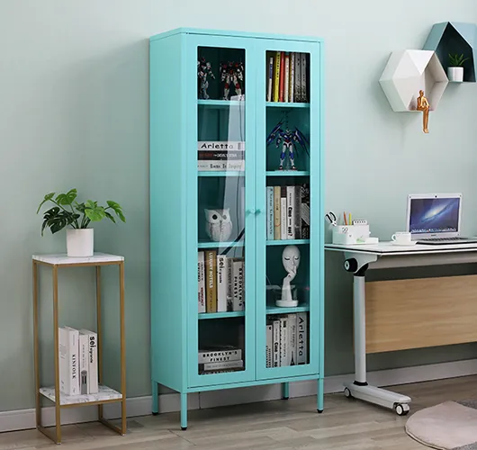 Steel glass door bookcase