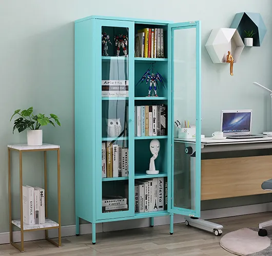 Steel glass door bookcase